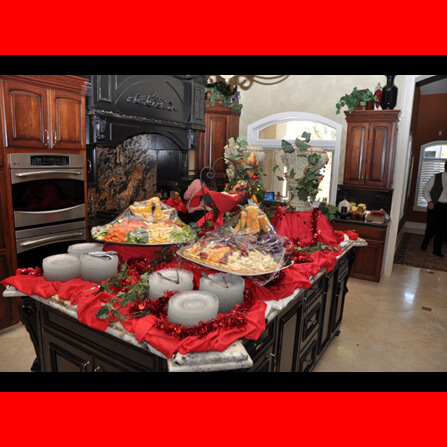 Carollo Family Cardiac Kids Benefit 11