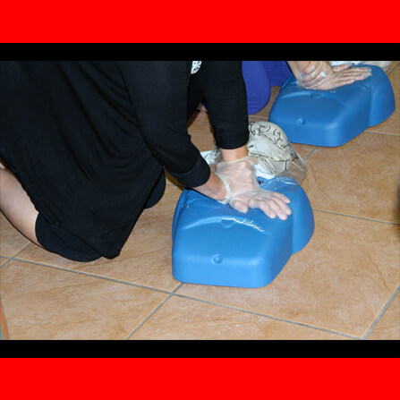 Woodlawn Community Academy CPR Training 5